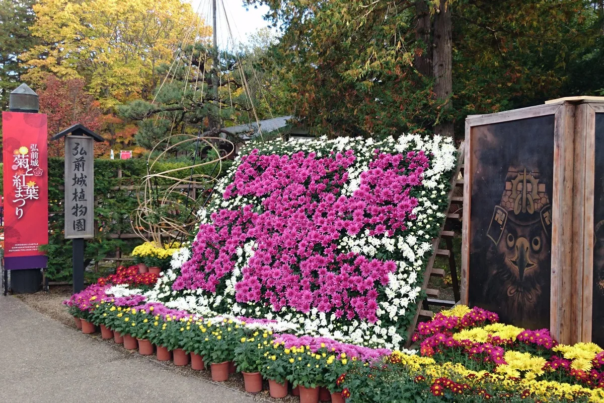 弘前城 菊と紅葉まつり