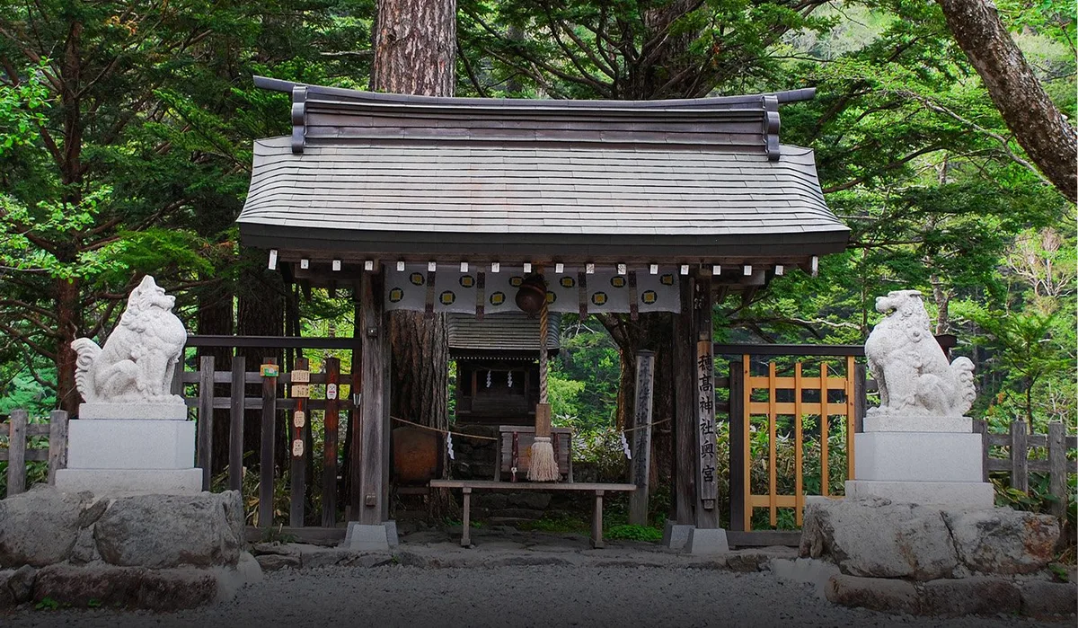 穂高神社 菊花展
