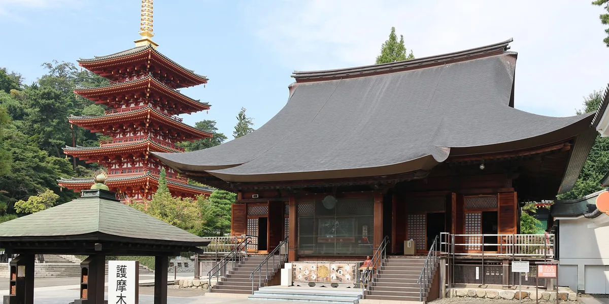 高幡不動尊 菊まつり