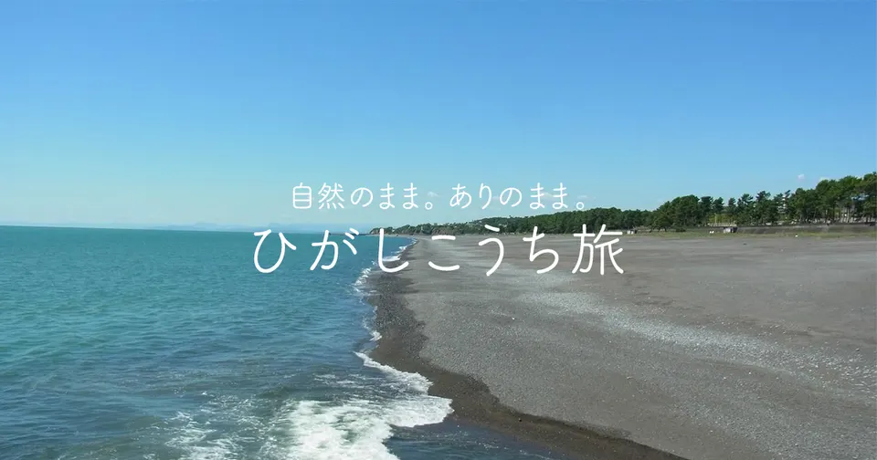 土佐の町家ひなまつり