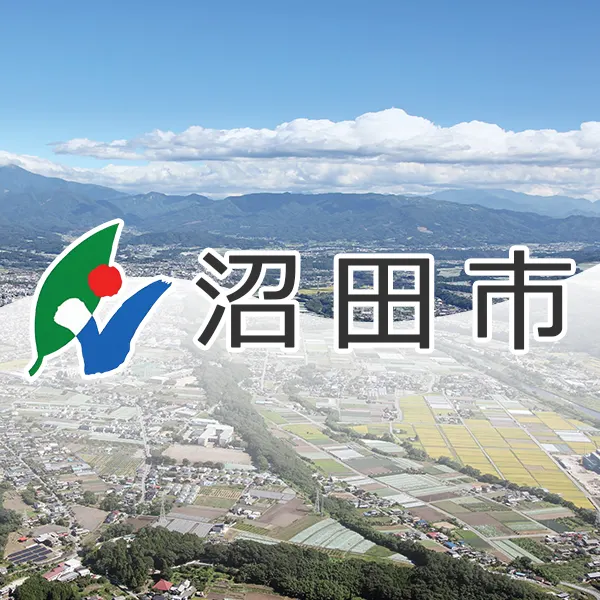 老神温泉びっくりひな飾り