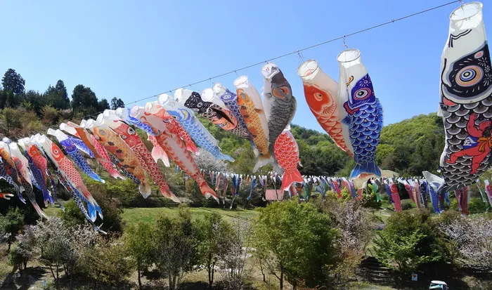 真備こいのぼりフェスティバル