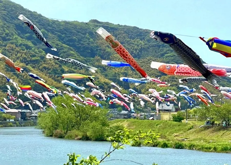 紫川こいのぼりまつり