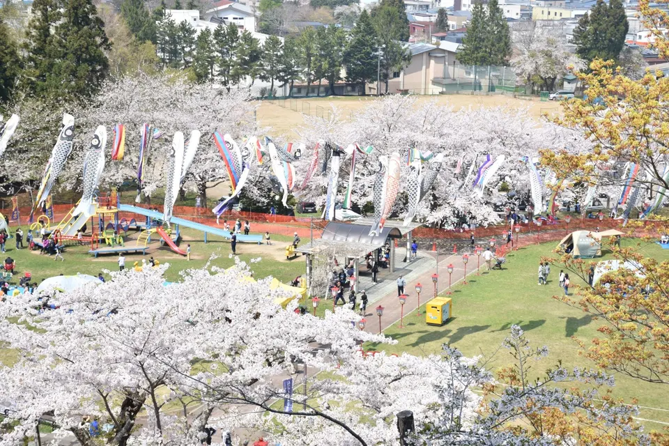 Noheji Spring Festival Koinobori