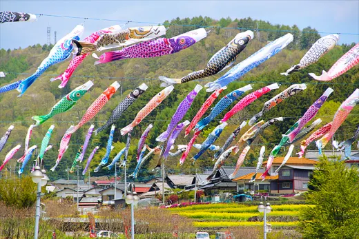 Nagasawa Koinobori Festival