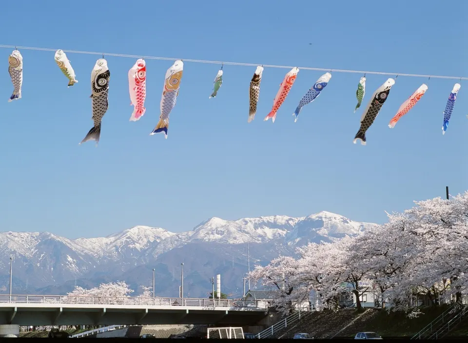 Koinobori Again: Kuzuryu River Koinobori