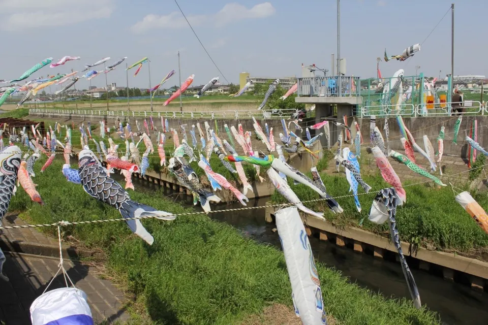 Kokubugawa Koinobori Festival